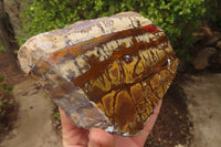 Polished On One Side Nguni Jasper Specimens x 2 From Prieska, South Africa - Toprock Gemstones and Minerals 