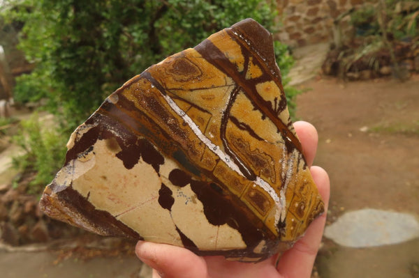 Polished On One Side Nguni Jasper Specimens x 2 From Prieska, South Africa - Toprock Gemstones and Minerals 
