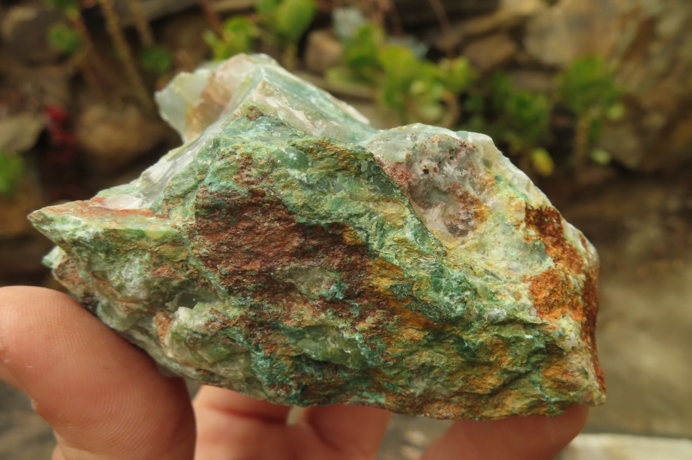 Natural Green Jade Cobbed Specimens x 12 From Swaziland - Toprock Gemstones and Minerals 