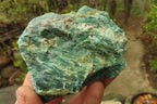 Natural Green Jade Cobbed Specimens x 12 From Swaziland - Toprock Gemstones and Minerals 