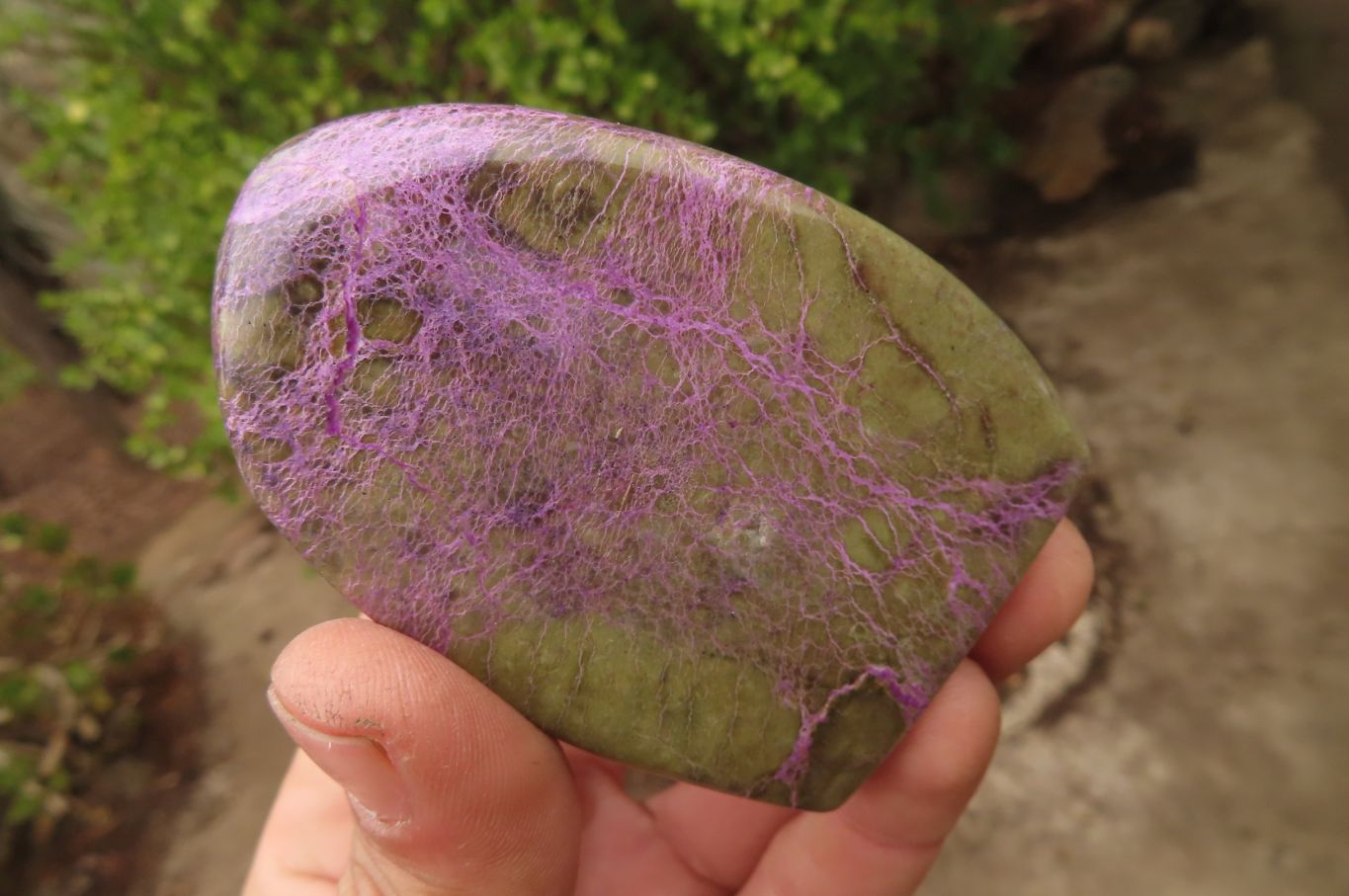 Polished Stichtite & Serpentine Standing Free Forms x 3 From Barberton, South Africa - Toprock Gemstones and Minerals 