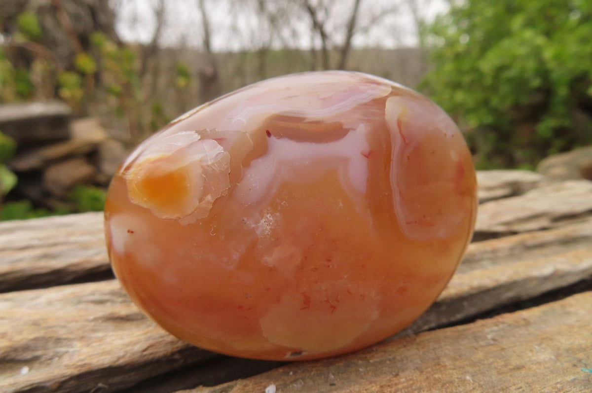 Polished Ocean Flower Agate Galet / Palm Stones x 12 From Antsahalova, Madagascar - Toprock Gemstones and Minerals 