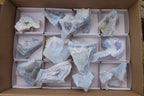 Natural Etched Blue Chalcedony Specimens x 12 From Nsanje, Malawi - Toprock Gemstones and Minerals 