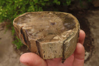 Polished Petrified Wood Branch Pieces x 2 From Gokwe, Zimbabwe - Toprock Gemstones and Minerals 
