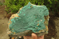 Natural Malachite Specimen x 1 From Tenke Fungumure, Congo - Toprock Gemstones and Minerals 