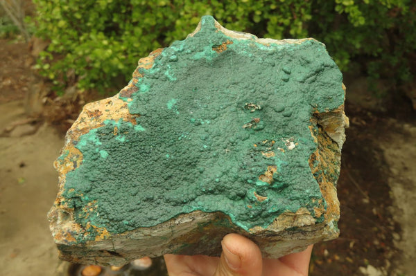 Natural Malachite Specimen x 1 From Tenke Fungumure, Congo - Toprock Gemstones and Minerals 