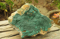 Natural Malachite Specimen x 1 From Tenke Fungumure, Congo - Toprock Gemstones and Minerals 