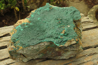 Natural Malachite Specimen x 1 From Tenke Fungumure, Congo - Toprock Gemstones and Minerals 