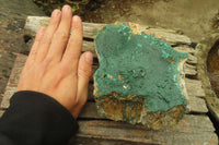 Natural Malachite Specimen x 1 From Tenke Fungumure, Congo - Toprock Gemstones and Minerals 