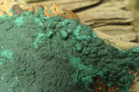 Natural Malachite Specimen x 1 From Tenke Fungumure, Congo - Toprock Gemstones and Minerals 