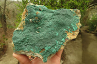 Natural Malachite Specimen x 1 From Tenke Fungumure, Congo - Toprock Gemstones and Minerals 