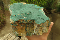 Natural Malachite Specimen x 1 From Tenke Fungumure, Congo - Toprock Gemstones and Minerals 