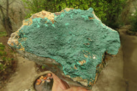 Natural Malachite Specimen x 1 From Tenke Fungumure, Congo - Toprock Gemstones and Minerals 