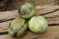 Polished Leopard Stone Palm Stones x 6 From Zimbabwe - Toprock Gemstones and Minerals 