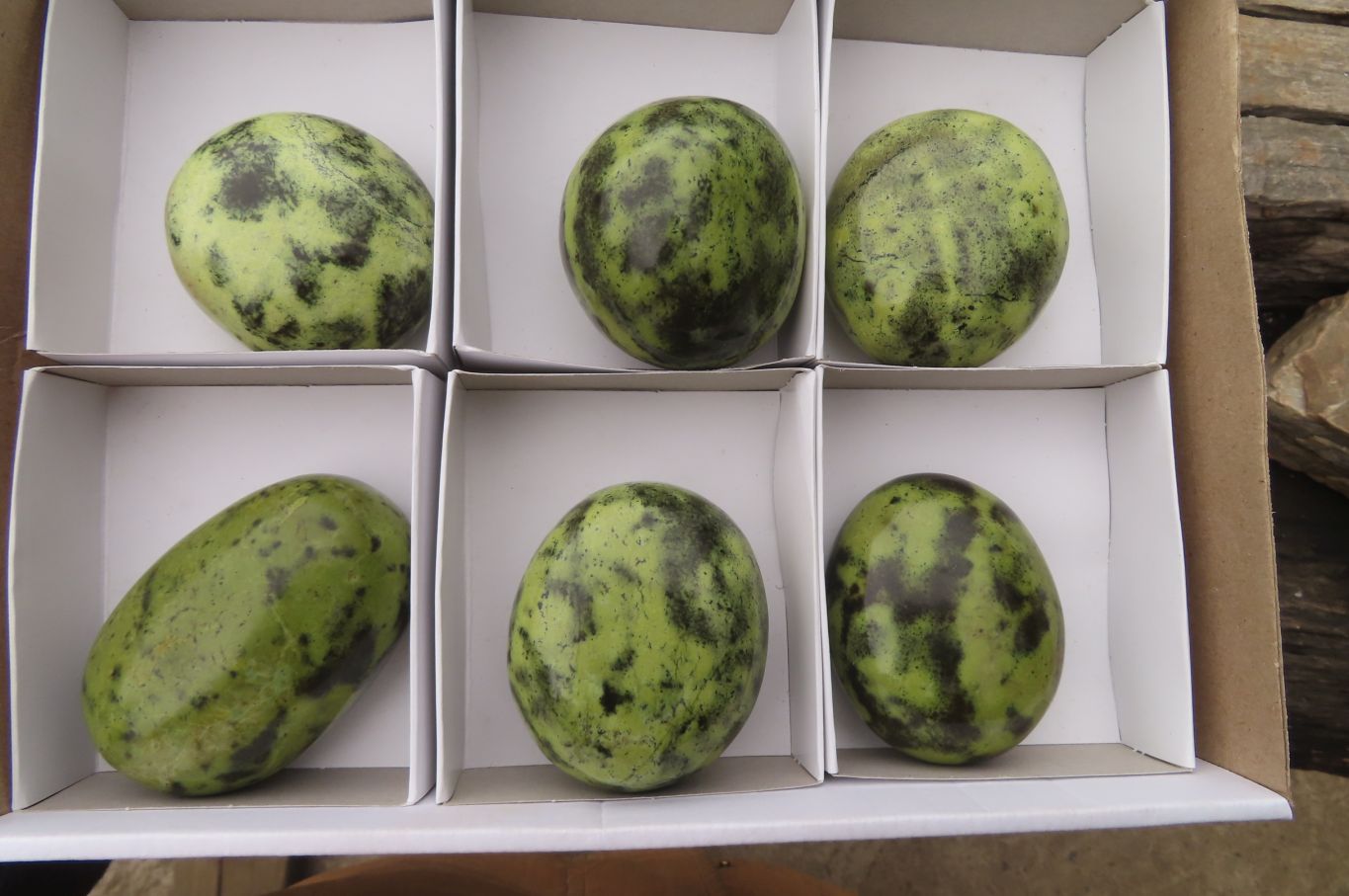 Polished Leopard Stone Palm Stones x 6 From Zimbabwe - Toprock Gemstones and Minerals 