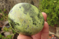 Polished Leopard Stone Palm Stones x 6 From Zimbabwe - Toprock Gemstones and Minerals 