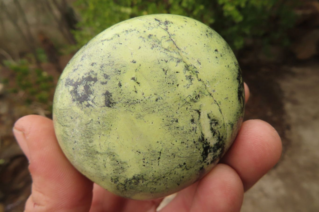 Polished Leopard Stone Palm Stones x 6 From Zimbabwe - Toprock Gemstones and Minerals 