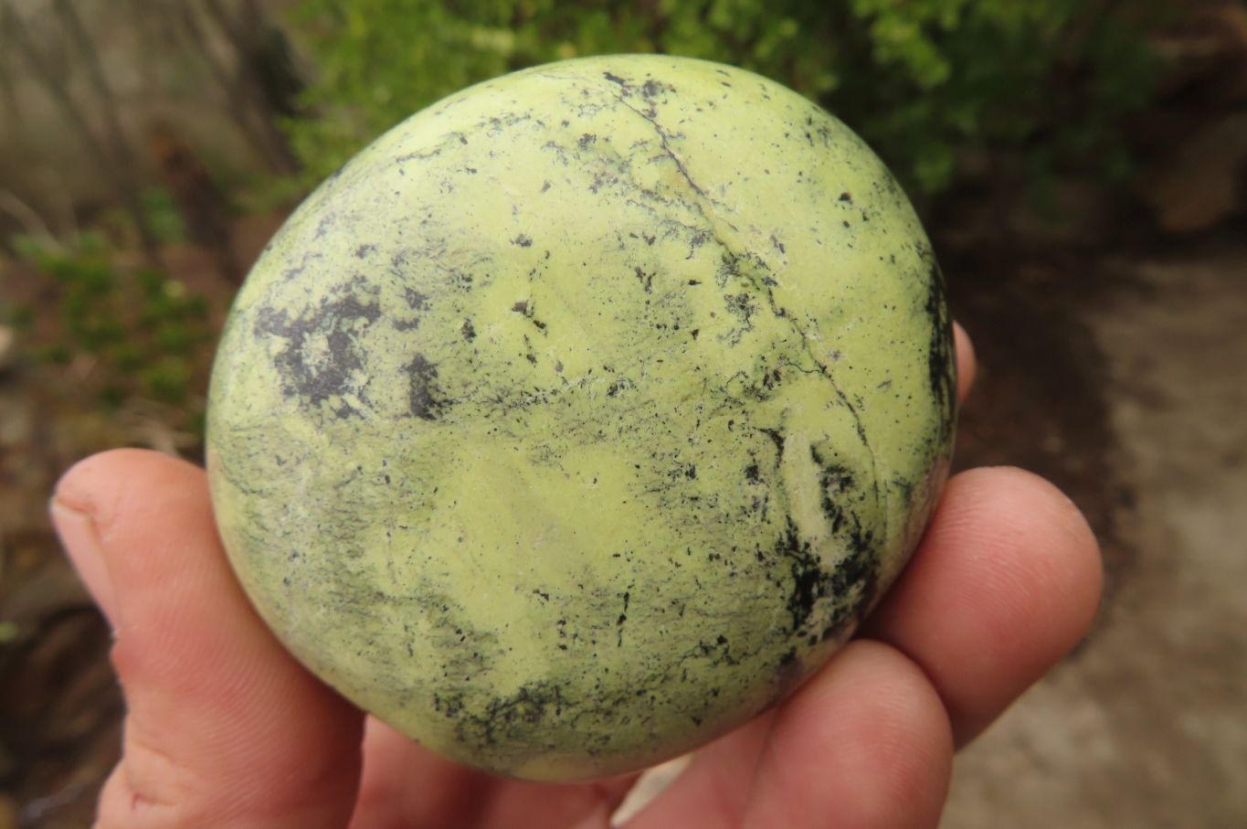 Polished Leopard Stone Palm Stones x 6 From Zimbabwe - Toprock Gemstones and Minerals 