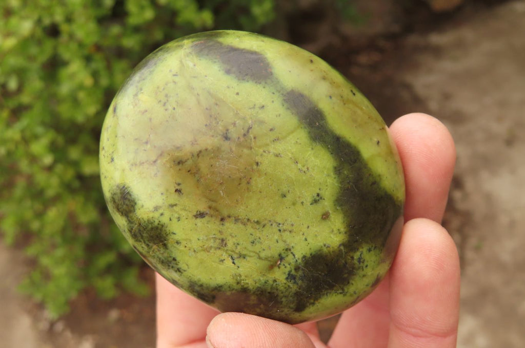 Polished Leopard Stone Palm Stones x 6 From Zimbabwe - Toprock Gemstones and Minerals 