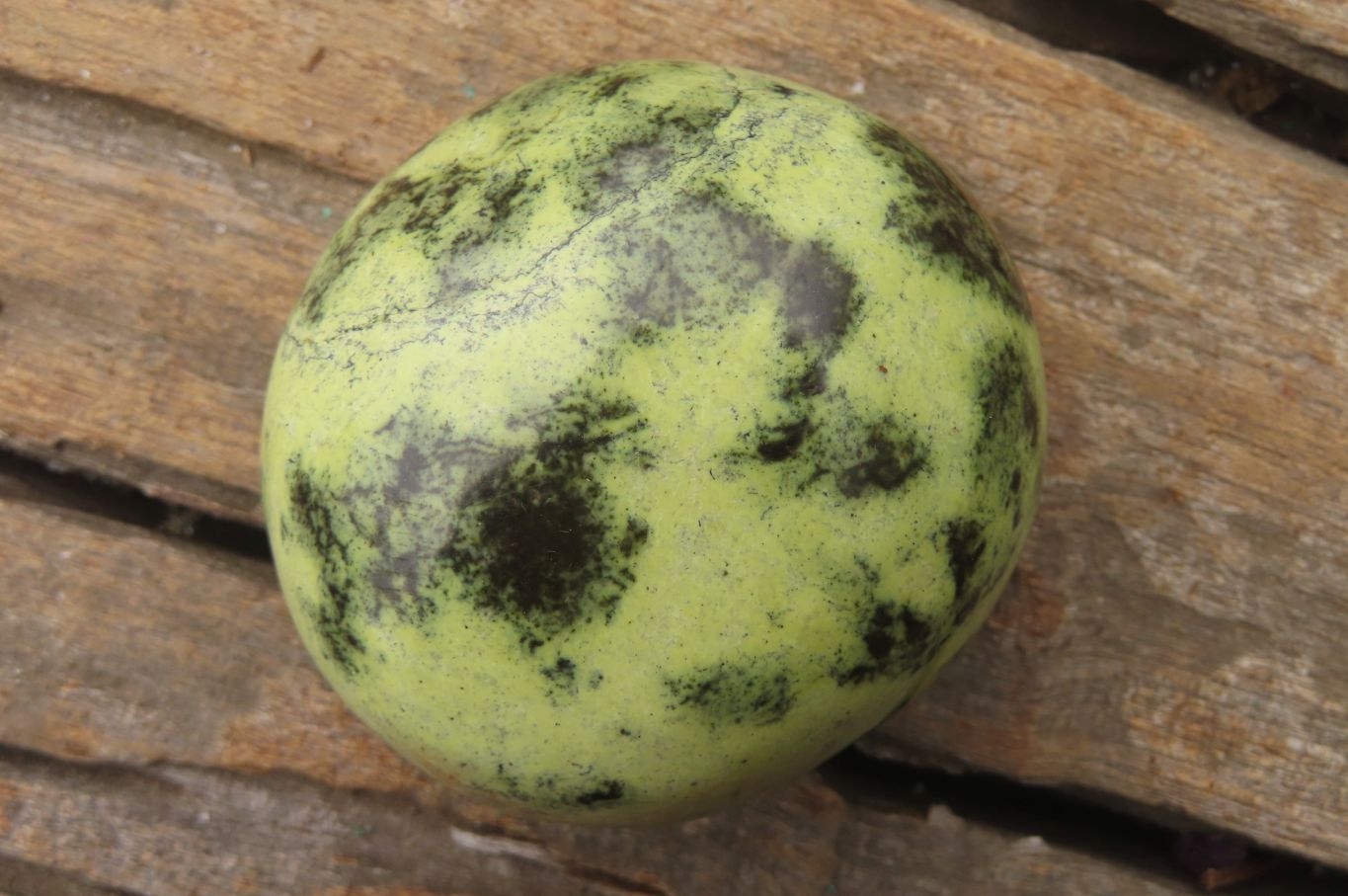 Polished Leopard Stone Palm Stones x 6 From Zimbabwe - Toprock Gemstones and Minerals 
