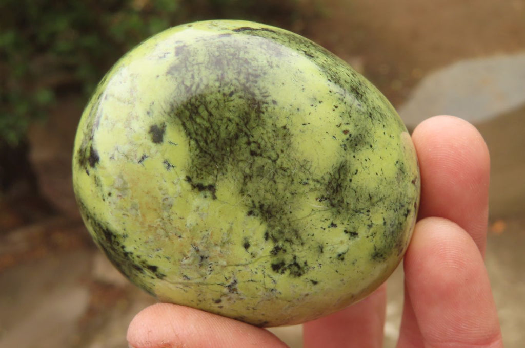 Polished Leopard Stone Palm Stones x 6 From Zimbabwe - Toprock Gemstones and Minerals 