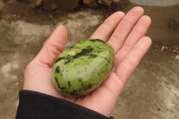 Polished Leopard Stone Palm Stones x 6 From Zimbabwe - Toprock Gemstones and Minerals 