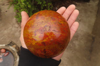 Polished Red Jasper Spheres x 2 From Madagascar - Toprock Gemstones and Minerals 