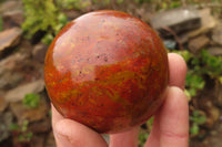 Polished Red Jasper Spheres x 2 From Madagascar - Toprock Gemstones and Minerals 