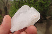 Natural Clear Quartz Crystals x 12 From Madagascar - Toprock Gemstones and Minerals 