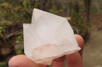 Natural Clear Quartz Crystals x 12 From Madagascar - Toprock Gemstones and Minerals 