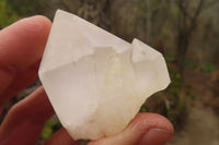 Natural Clear Quartz Crystals x 12 From Madagascar - Toprock Gemstones and Minerals 