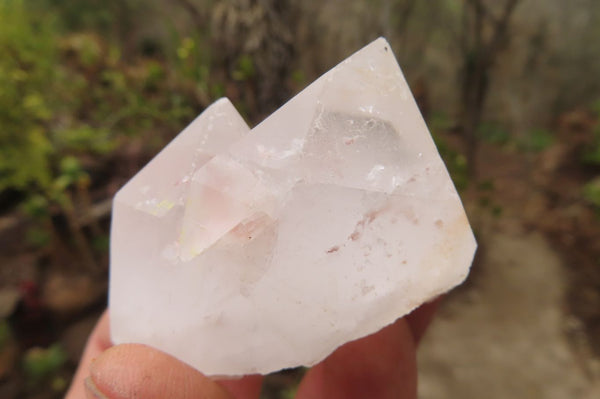 Natural Clear Quartz Crystals x 12 From Madagascar - Toprock Gemstones and Minerals 