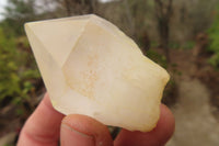 Natural Clear Quartz Crystals x 12 From Madagascar - Toprock Gemstones and Minerals 