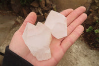 Natural Clear Quartz Crystals x 12 From Madagascar - Toprock Gemstones and Minerals 