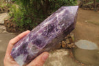 Polished Lepidolite Tower x 1 From Madagascar - Toprock Gemstones and Minerals 