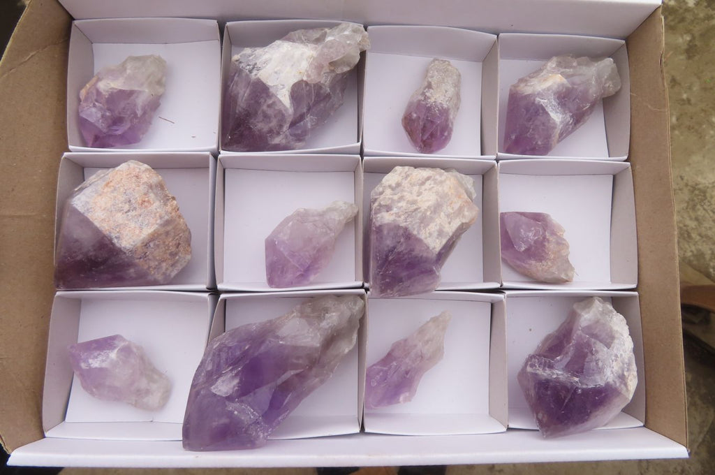 Polished Jacaranda Amethyst Single Crystals x 12 From Zambia - Toprock Gemstones and Minerals 