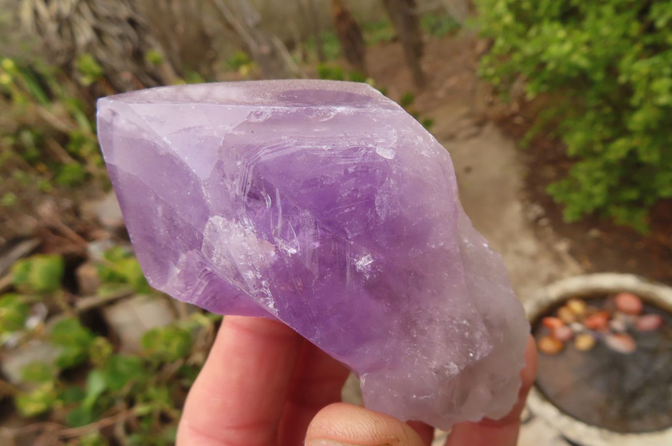 Polished Jacaranda Amethyst Single Crystals x 12 From Zambia - Toprock Gemstones and Minerals 