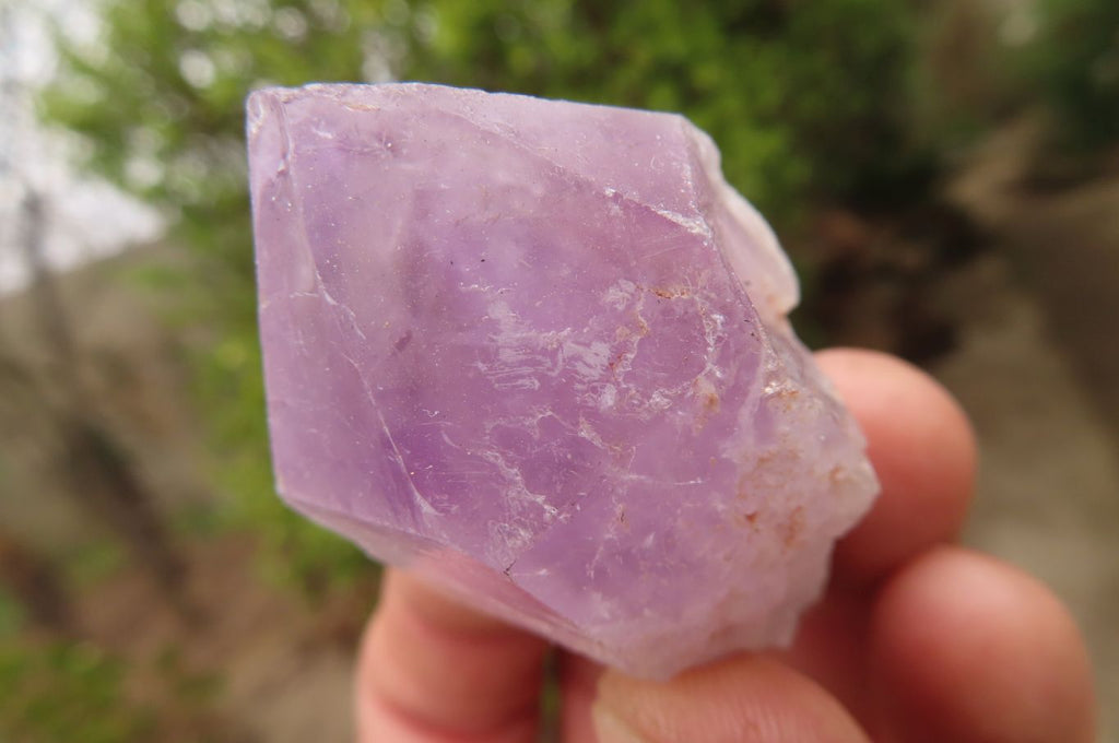 Polished Jacaranda Amethyst Single Crystals x 12 From Zambia - Toprock Gemstones and Minerals 