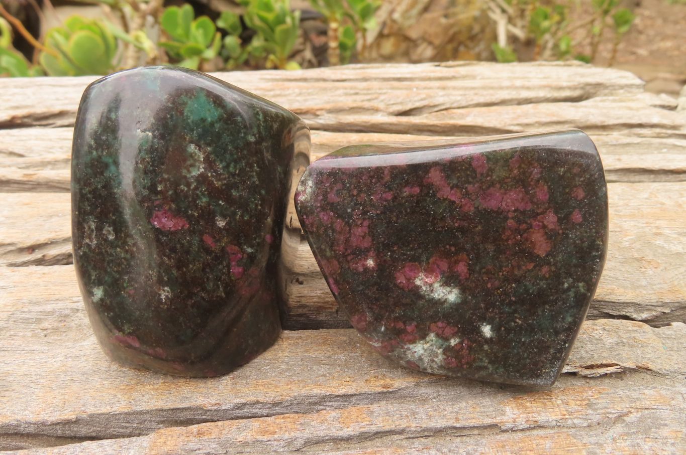 Polished Ruby Corundum in Chrome Verdite Free Forms x 6 From Zimbabwe - Toprock Gemstones and Minerals 