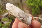 Natural Drusy Quartz Coated Calcite Pseudomorph Specimens x 35 From Lesotho - Toprock Gemstones and Minerals 
