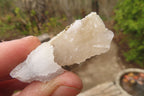 Natural Drusy Quartz Coated Calcite Pseudomorph Specimens x 35 From Lesotho - Toprock Gemstones and Minerals 