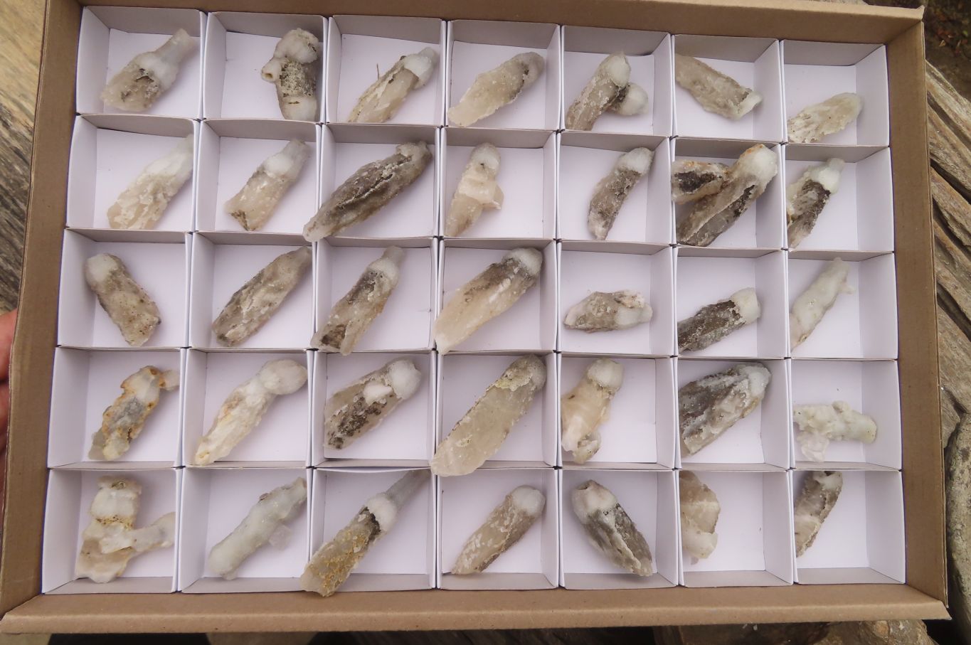 Natural Drusy Quartz Coated Calcite Pseudomorph Specimens x 35 From Lesotho - Toprock Gemstones and Minerals 