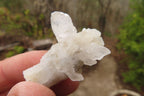 Natural Drusy Quartz Coated Calcite Pseudomorph Specimens x 35 From Lesotho - Toprock Gemstones and Minerals 