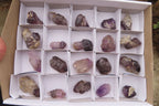 Natural Amethyst Crystals x 20 From Chiredzi, Zimbabwe - Toprock Gemstones and Minerals 