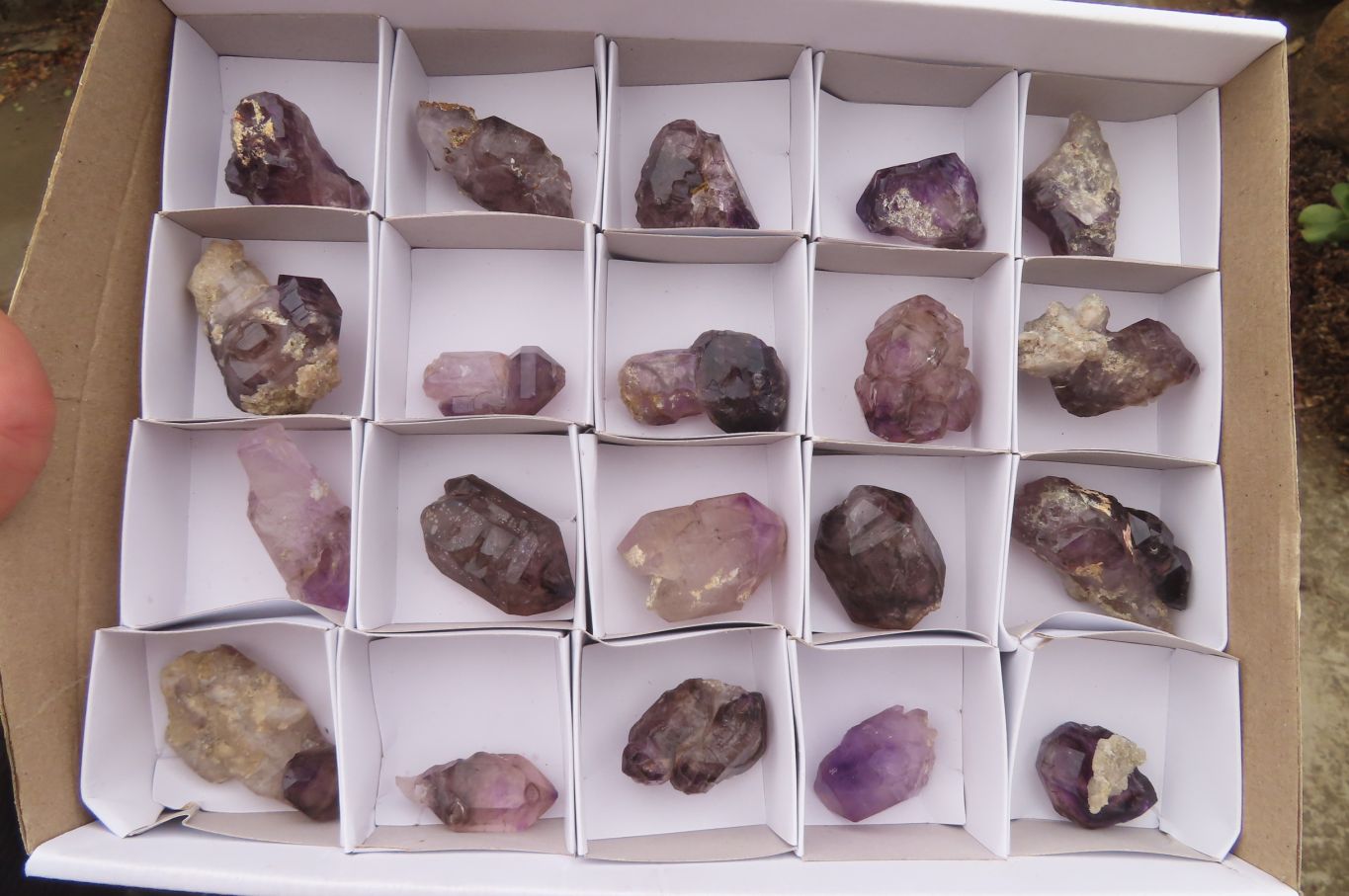 Natural Amethyst Crystals x 20 From Chiredzi, Zimbabwe - Toprock Gemstones and Minerals 