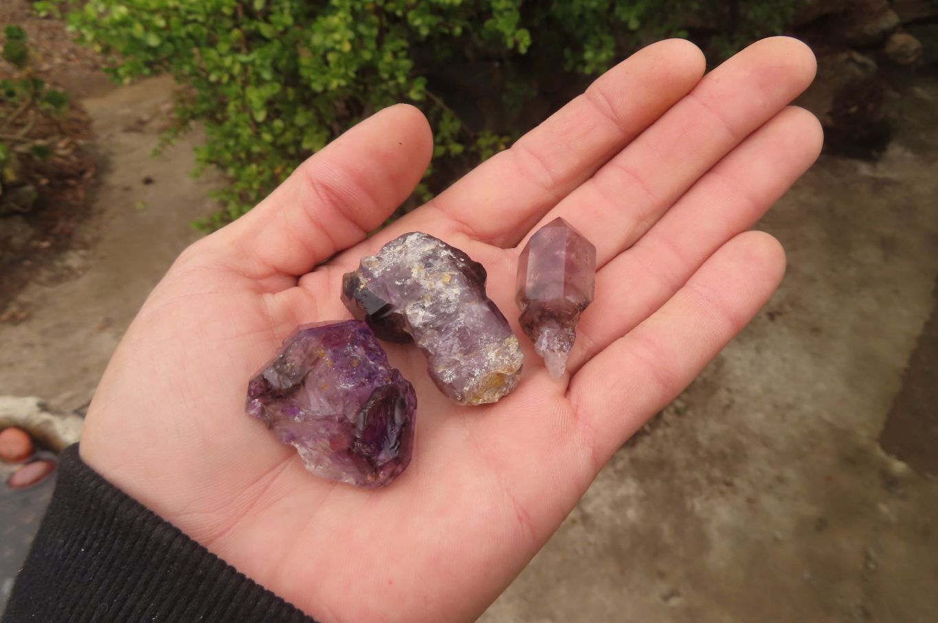 Natural Amethyst Crystals x 20 From Chiredzi, Zimbabwe - Toprock Gemstones and Minerals 
