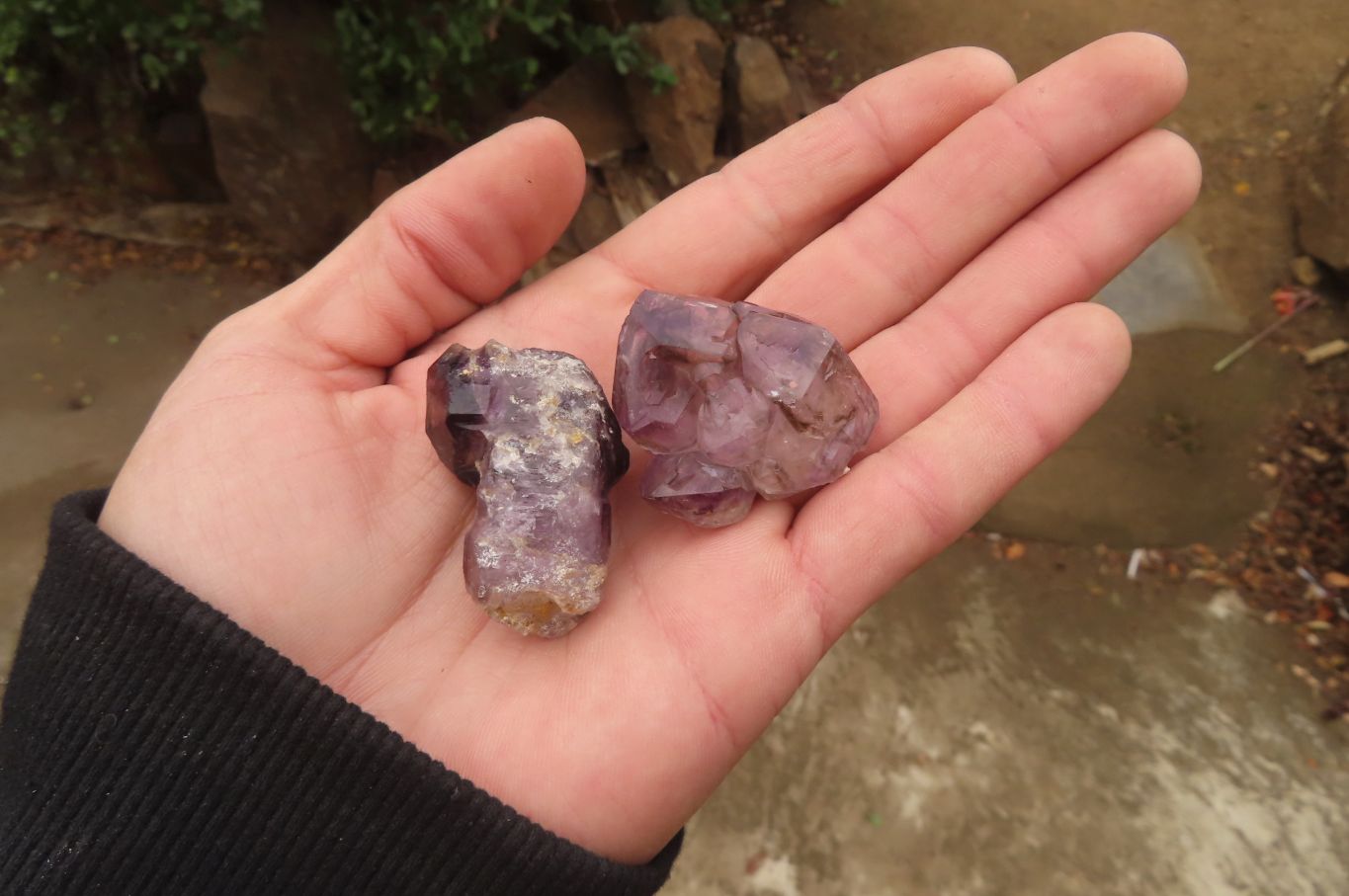 Natural Amethyst Crystals x 20 From Chiredzi, Zimbabwe - Toprock Gemstones and Minerals 