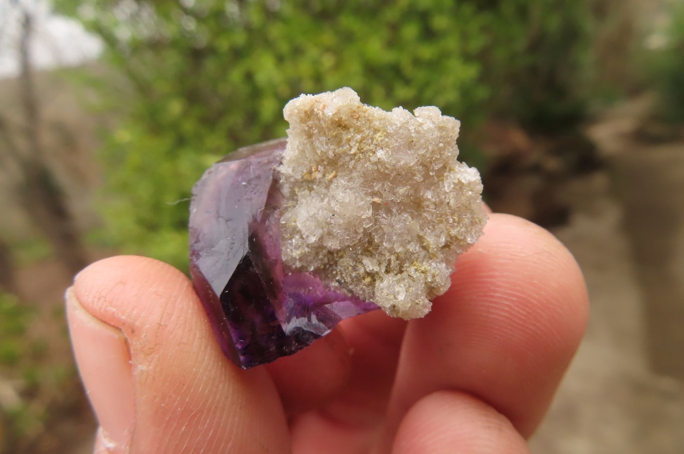Natural Amethyst Crystals x 20 From Chiredzi, Zimbabwe - Toprock Gemstones and Minerals 