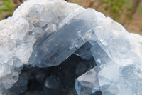 Natural Celestite Geode x 1 From Sakoany, Madagascar - Toprock Gemstones and Minerals 