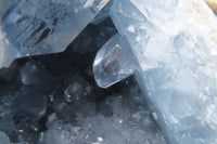 Natural Celestite Geode x 1 From Sakoany, Madagascar - Toprock Gemstones and Minerals 